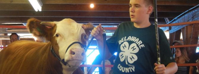年轻人向潜在的买家介绍了4-H牲畜拍卖的潜在买家。