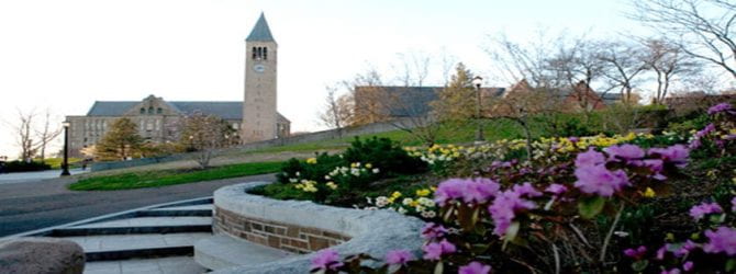 康奈尔大学的鲜花风景秀丽雷竞技多少钱可以提现雷竞技安卓下载